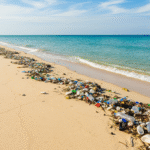 Gemini Generated Image uttso5uttso5utts 1 UPDATESSS...........